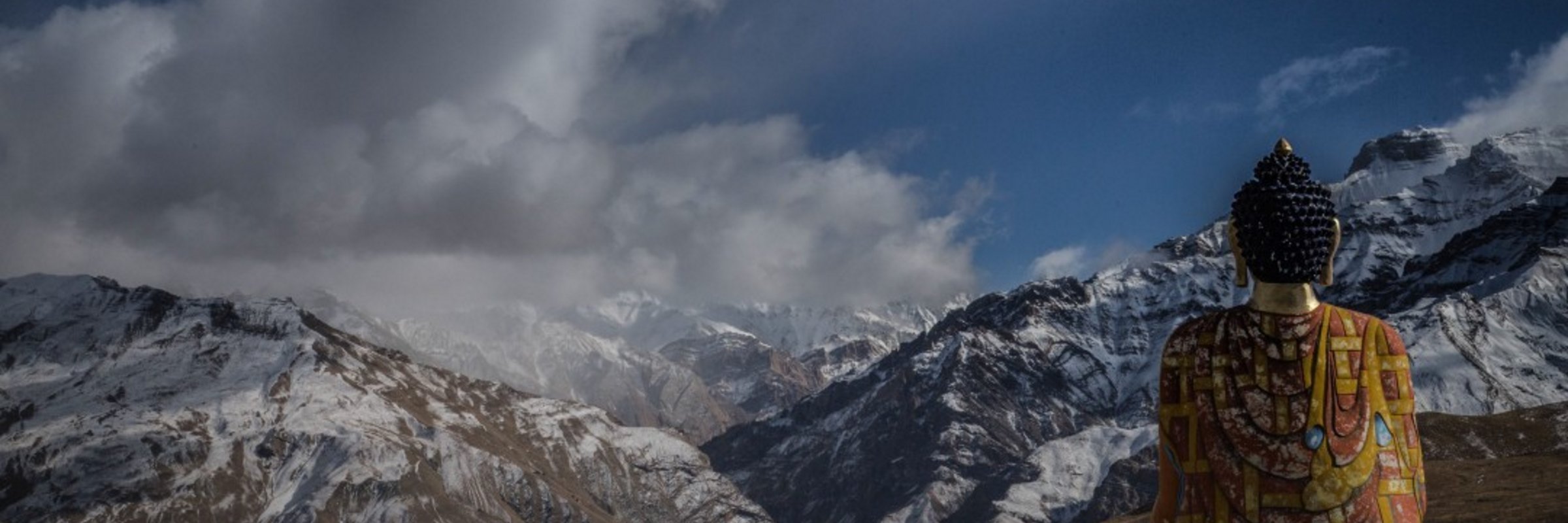 Dookie Shrimp banner