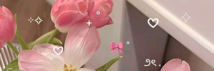 Matcha_Sich's profile banner image