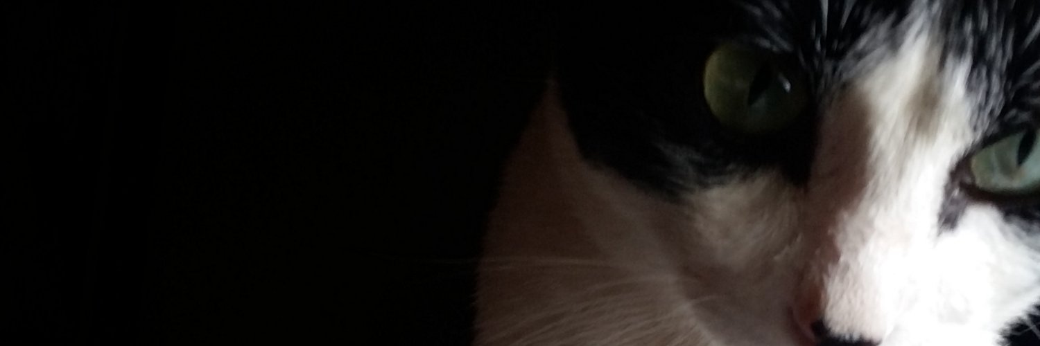 AlvGraf's profile banner image