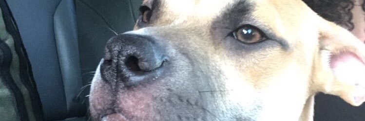 YaneceG's profile banner image