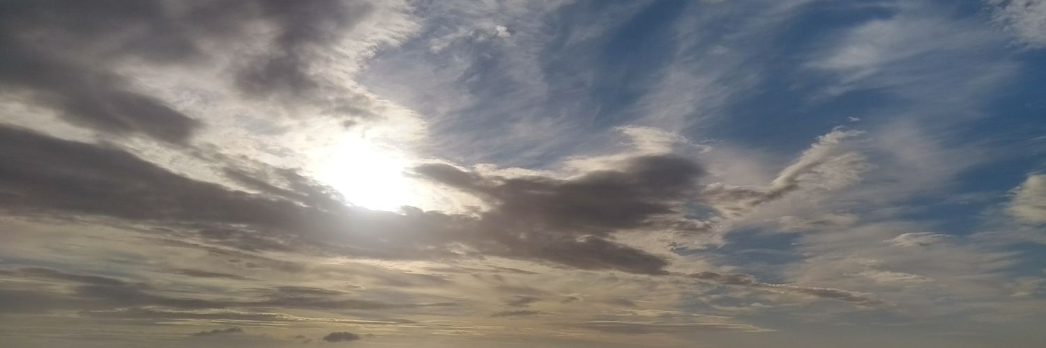 Rebecca Patterson banner