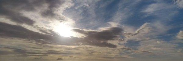 RebPatter Profile Banner