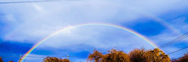 to_mi_0415 Profile Banner