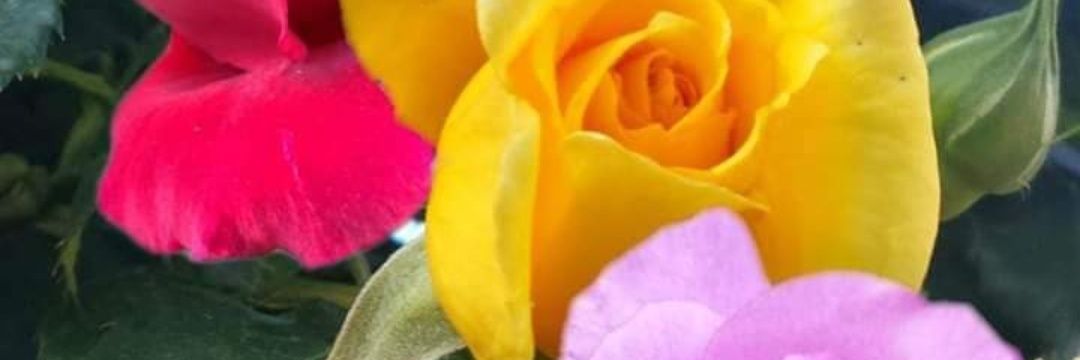 yolreme's profile banner image