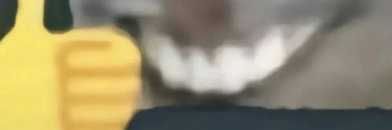 pigknowshow2fly's profile banner image