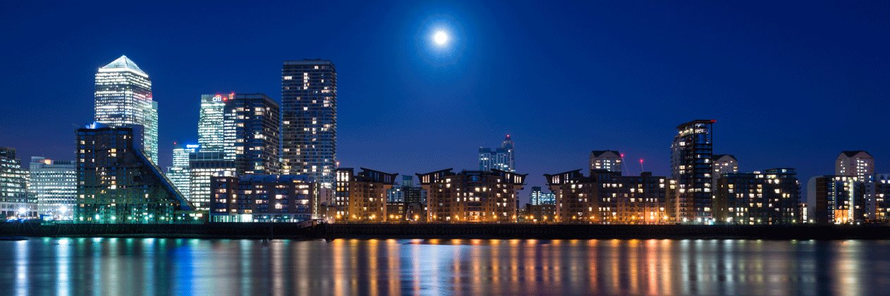 Y&Y Management Ltd banner