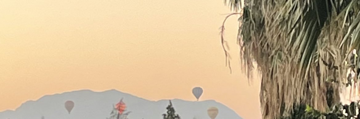 ainaasharii's profile banner image