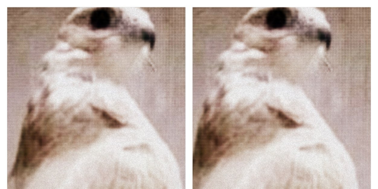 rashedk001's profile banner image