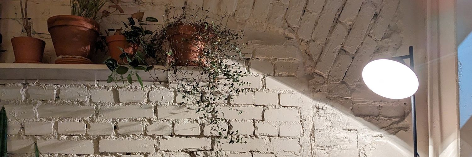 ol_nest's profile banner image
