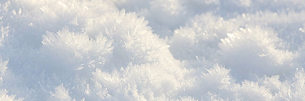nilay_islamoglu's profile banner image