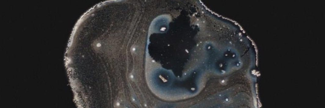 holodom's profile banner image