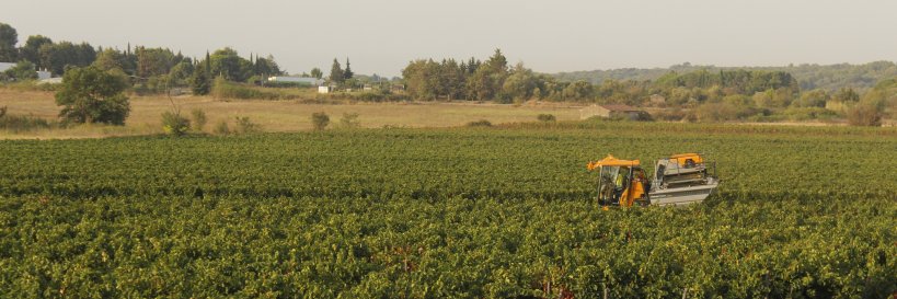 Mas numérique banner