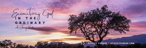 StaceyPardoe Profile Banner
