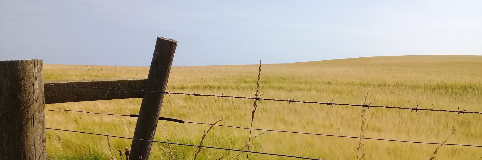 AngieNK's profile banner image