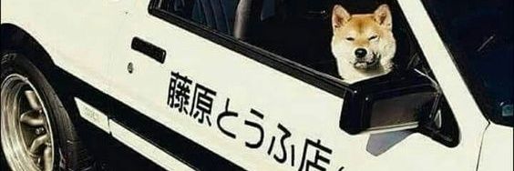 8alekx offtopic banner