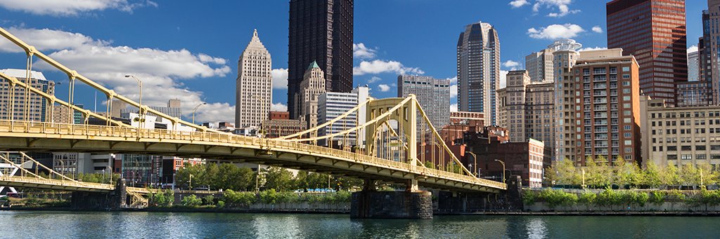Nicole Lininger banner