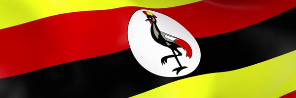 FlatCath Profile Banner