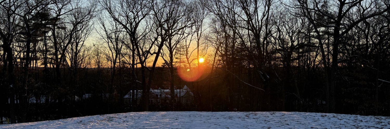 Colin Steinberg banner