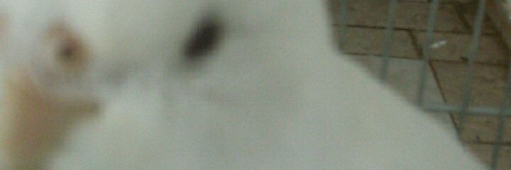 MisterXM1's profile banner image