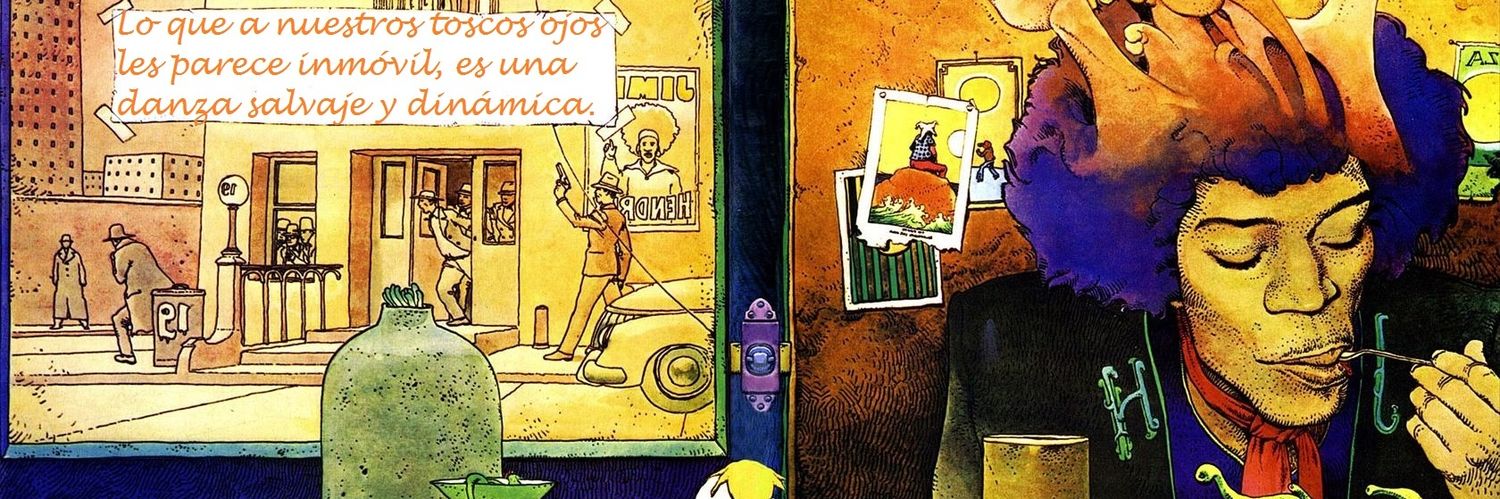 Manuel Fernández 🔻 banner