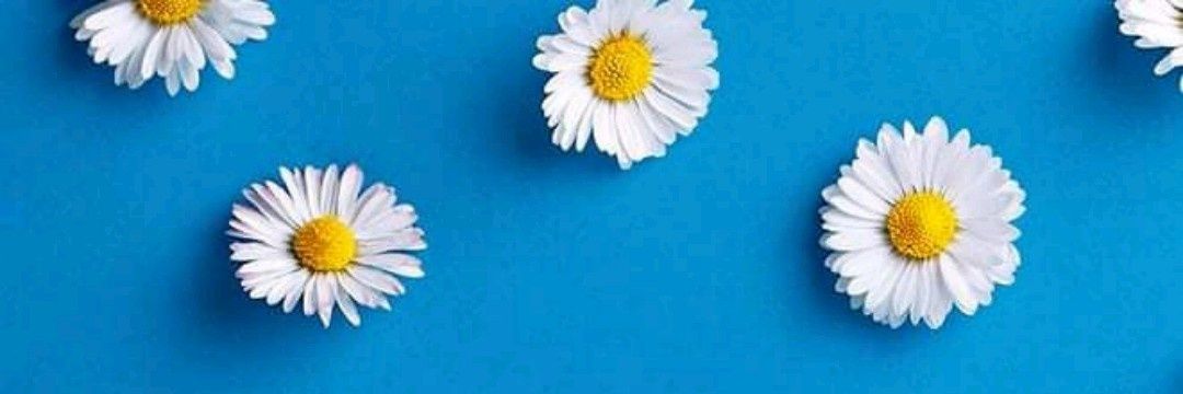 27sarahim's profile banner image