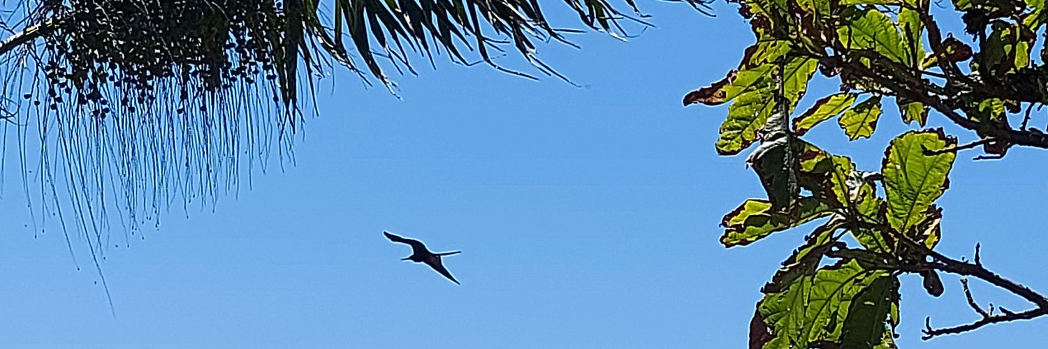 livialockermann's profile banner image