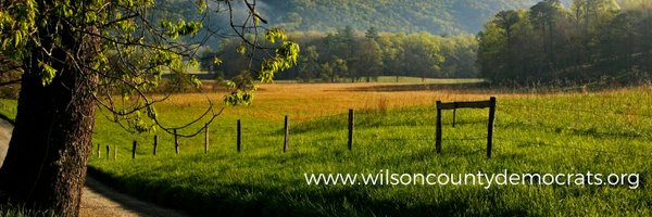 WilsonDemocrats Profile Banner