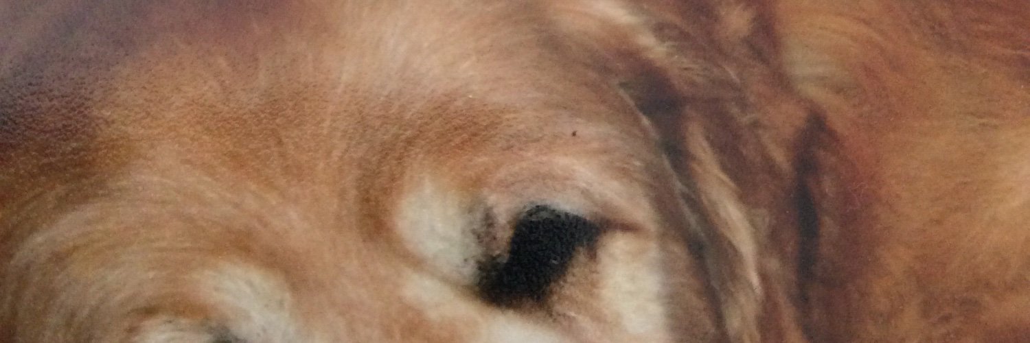 crown10's profile banner image