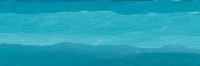 🪻Gelly PS🌳 banner