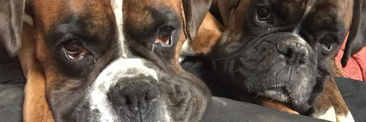 Mick1717's profile banner image