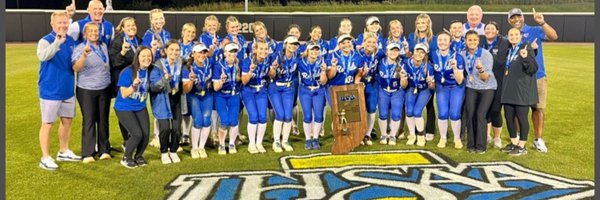 HSEsoftball Profile Banner