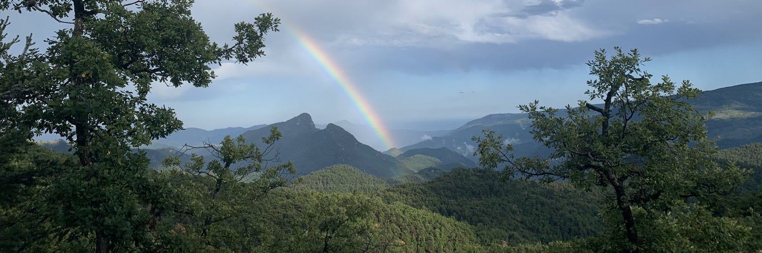 Michaël Fryce banner