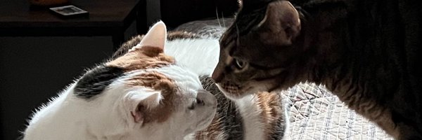 JasonKirell Profile Banner