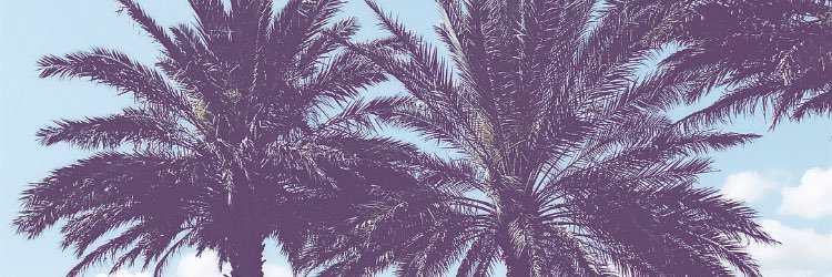 aizyy's profile banner image