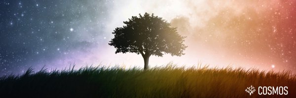 LUNARC_LU Profile Banner