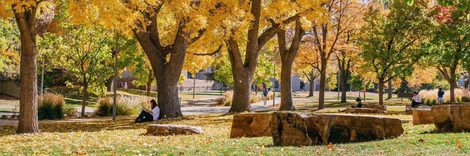 CSU Admissions banner