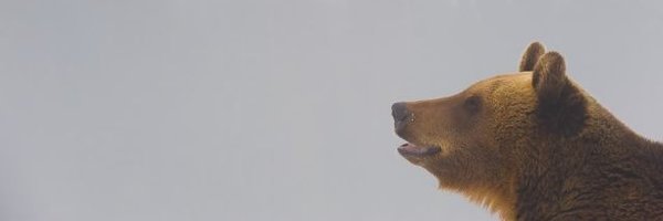 V7NnRqa0uZbvFqZ Profile Banner