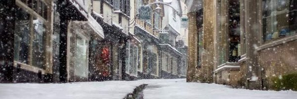 Moochioooooo Profile Banner