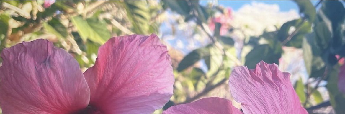 jujusrr's profile banner image