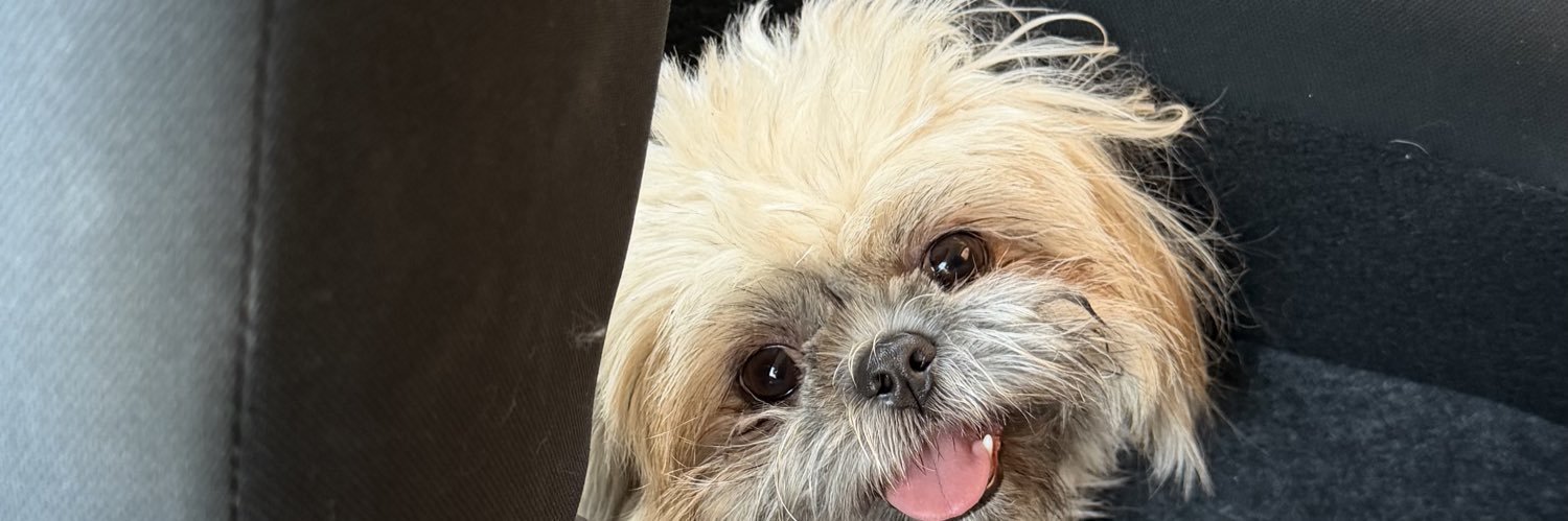 babstarcandy's profile banner image