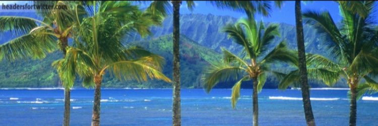 lovadir's profile banner image