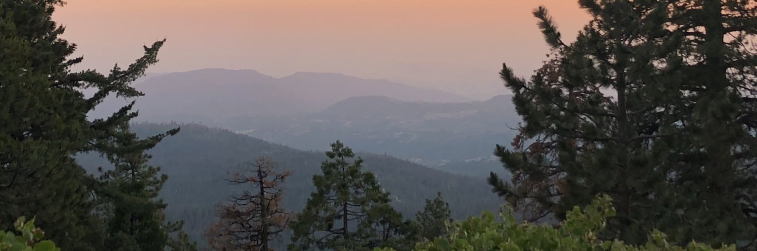 Little_Tifff's profile banner image