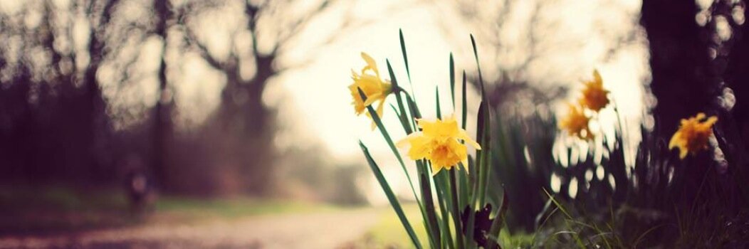 MichelleFloh's profile banner image