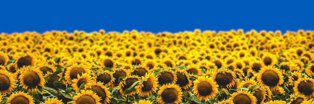 sjeh07's profile banner image