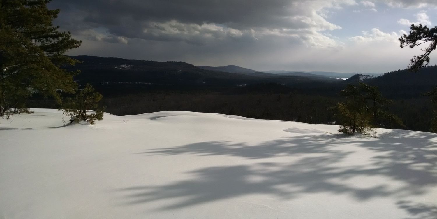 docllamacoy's profile banner image