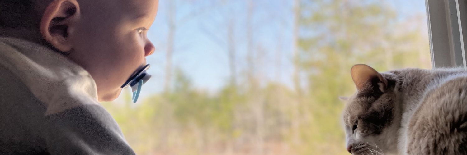 TarynAMedina's profile banner image