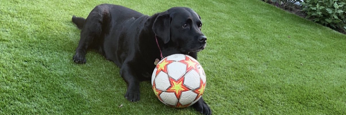 samsully98's profile banner image