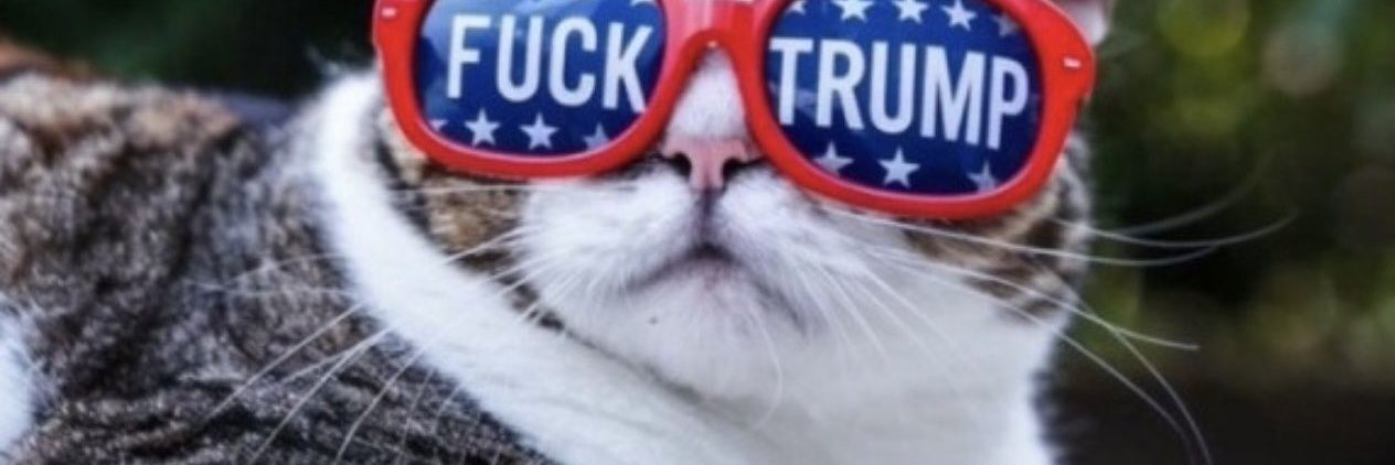Larry's banner