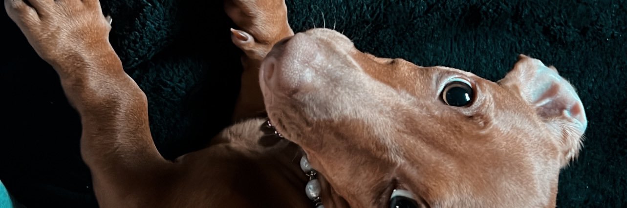 rikpac's profile banner image
