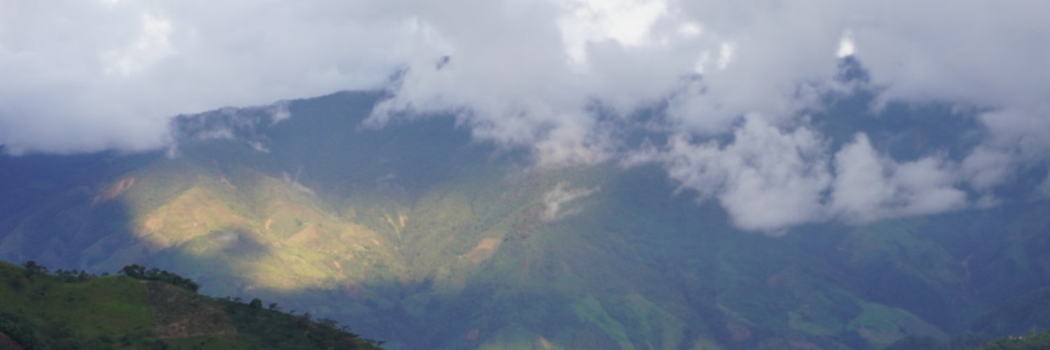 bilarink's profile banner image